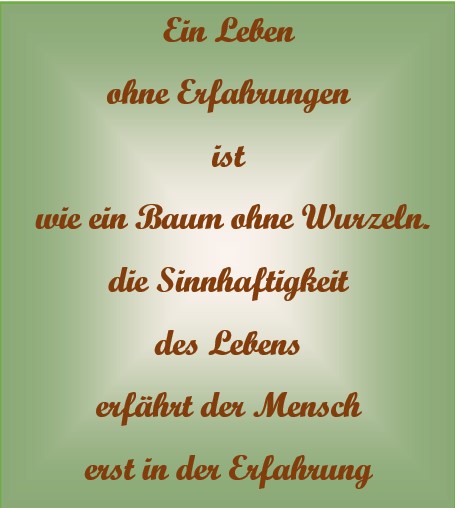 zitat Heike juli 20