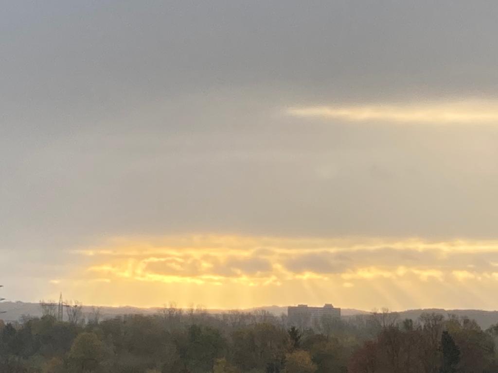 WhatsApp Image 2020-11-17 at 08.09.42 (1)