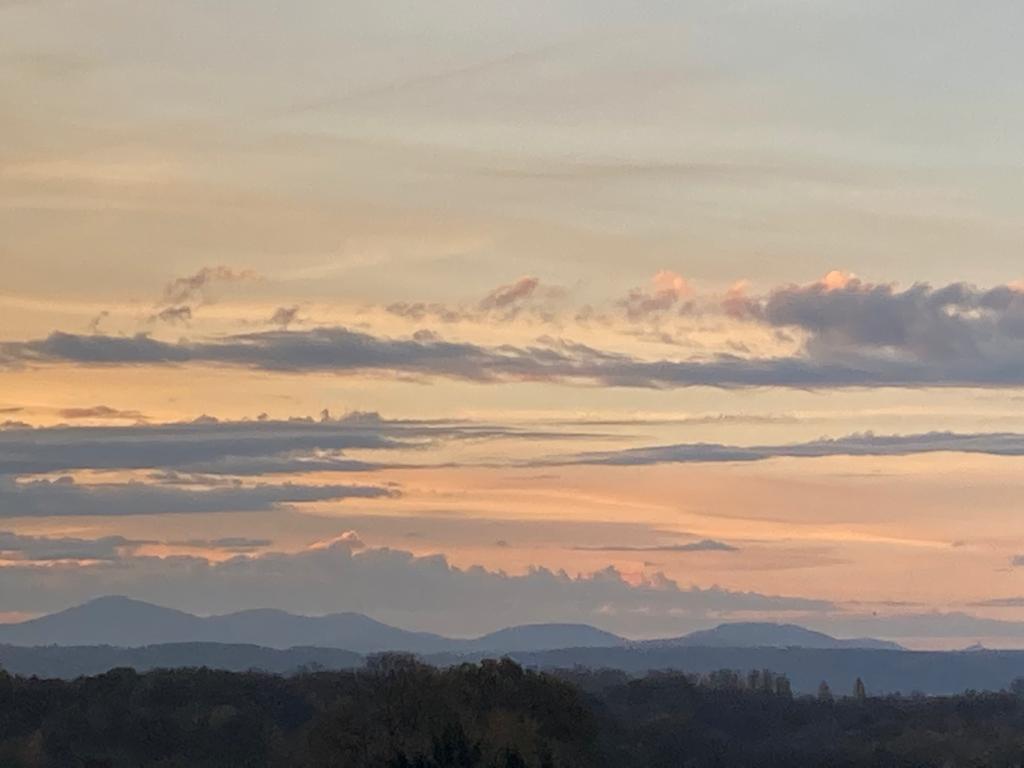 WhatsApp Image 2020-11-17 at 08.09.42 (2)