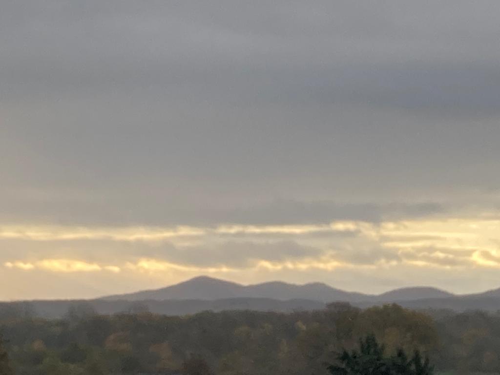 WhatsApp Image 2020-11-17 at 08.09.42